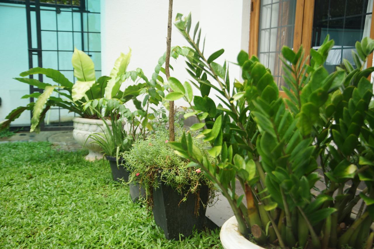 Nelinsa Residence Kandy Eksteriør bilde